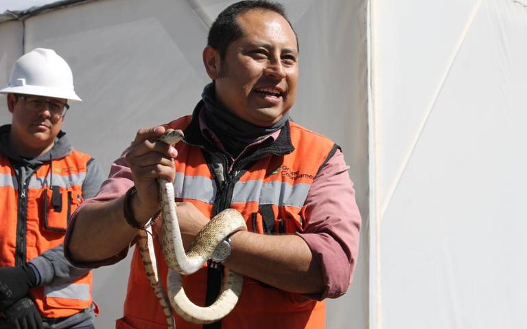 Capacita Grupo Coanzamex En El Manejo De Serpientes Y Reptiles