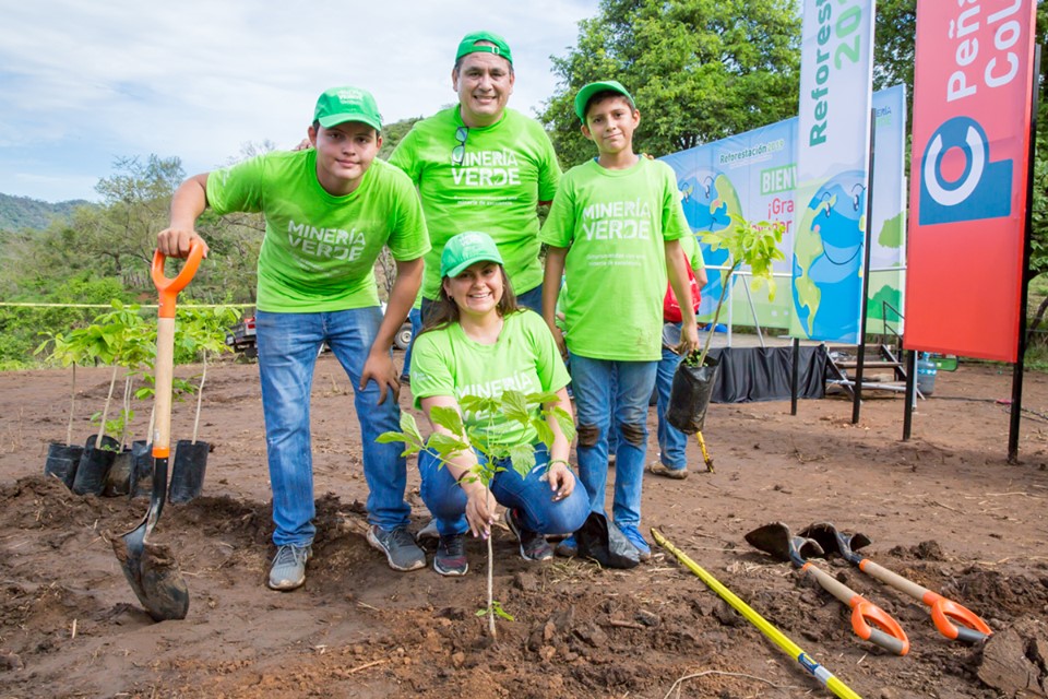 Peña Colorada planta más de 3 mil árboles en jornada de reforestación ...